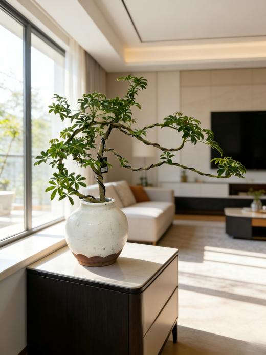 造型吸财木 商品图0