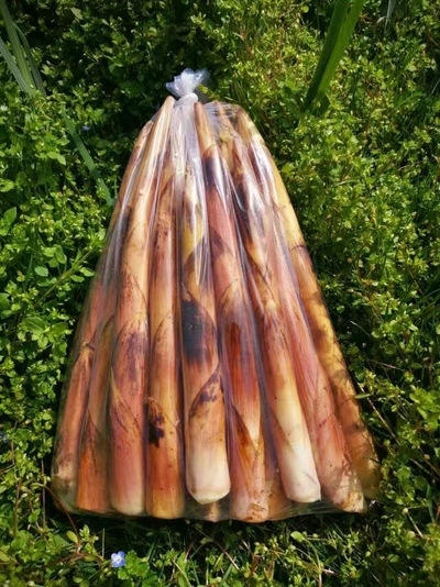 【5斤】早园笋 商品图2