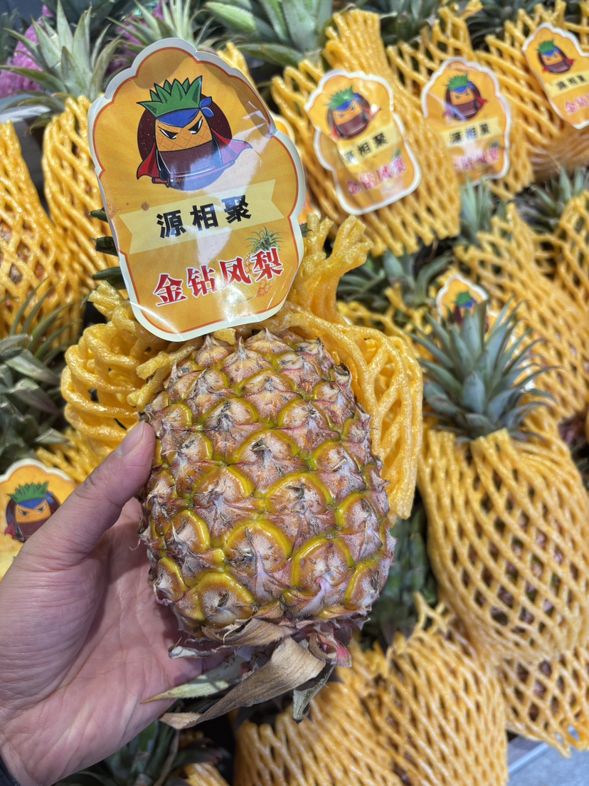 海南金钻凤梨中果一个