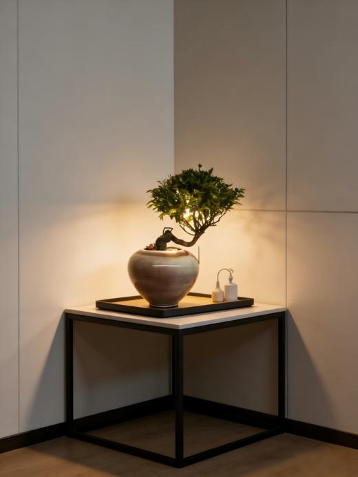 造型紫檀 商品图0