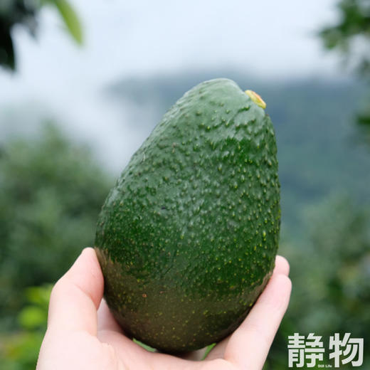 即食牛油果｜秘鲁 商品图2