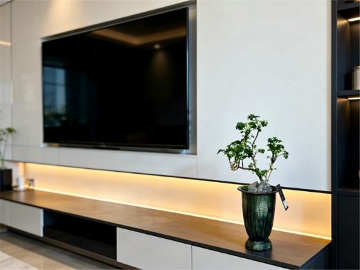 福禄桐 商品图1