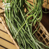 生态贡菜干| 合作生产*Ecological ginger root dried product| Partner Production 商品缩略图3