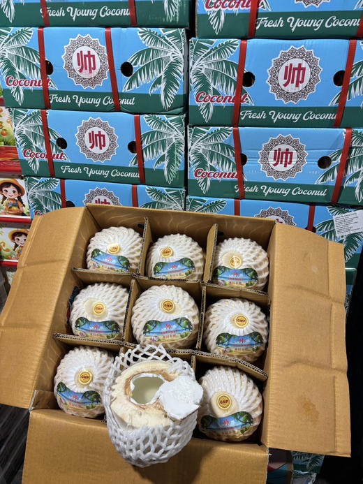 7.8元1个泰国进口椰青中果 商品图1