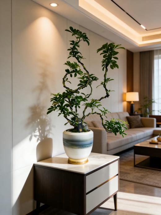 造型吸财木 商品图0