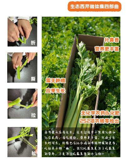 生态西芹（芹菜） | 绿家自产*Eco-celery | Self-production 商品图2