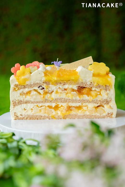 四寸玉露森林 商品图2