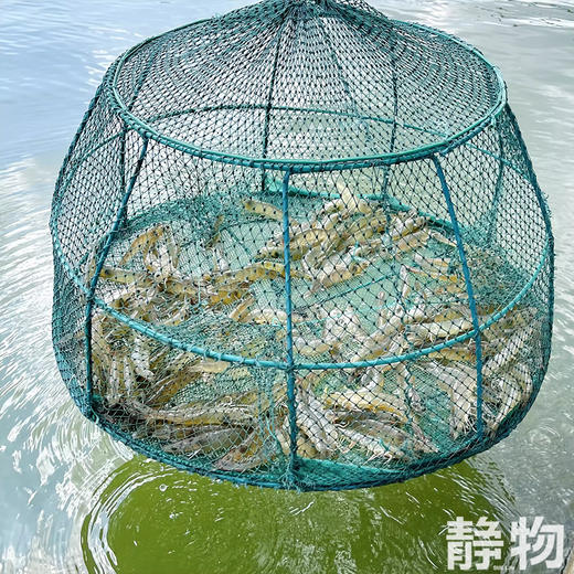 虾滑150g含虾量≥95% 无保水剂 ｜广东汕头 商品图5