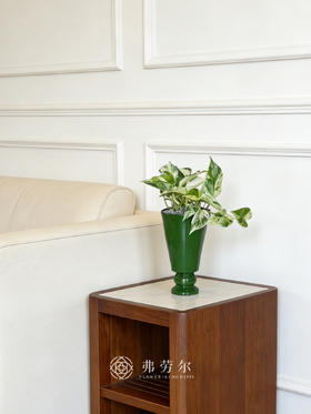 绿色高脚盆快乐叶子