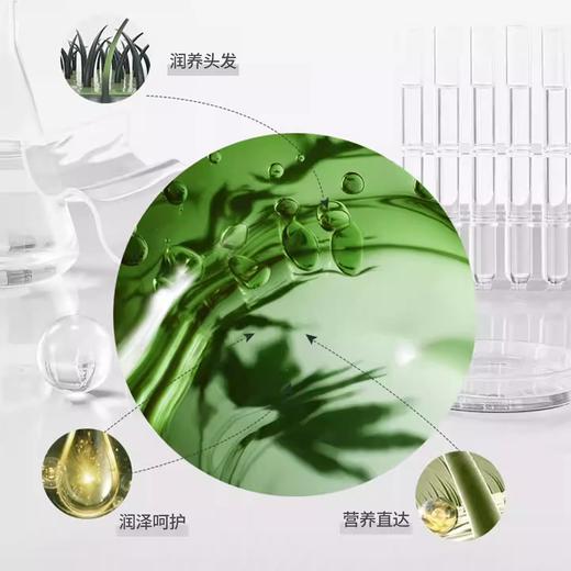 标婷香氛洗发露 商品图3