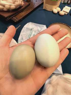 【50个】草鸡蛋