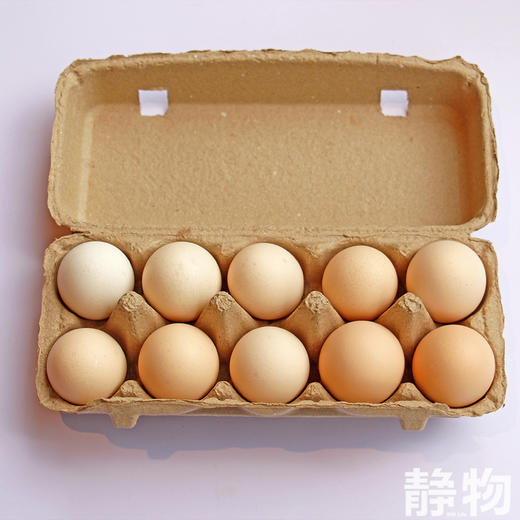 有机鸡蛋10枚/盒｜安徽宿州 商品图2