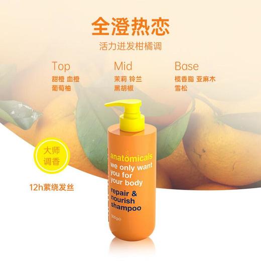 安娜魅纳 控油蓬松洗发水300g（海洋清爽/全澄热恋） 商品图1