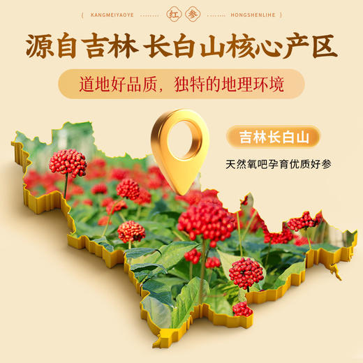 康美红参片礼盒100g/盒(50g*2瓶) 中药饮片红参片装 送父母长辈老人养生滋补礼品补品礼盒泡水营养品 商品图3