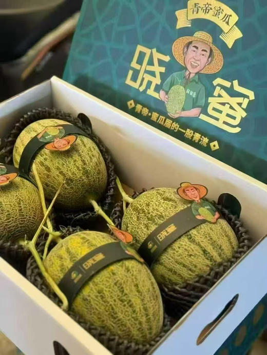 青帝蜜瓜，香味浓郁 商品图4