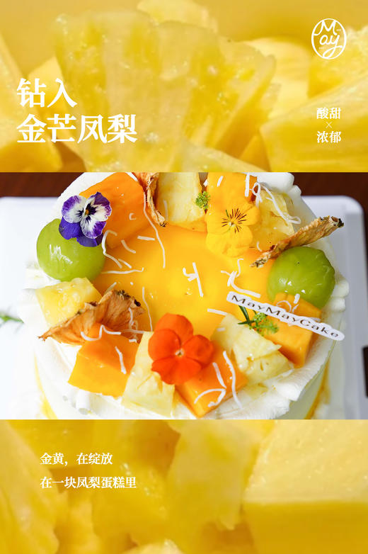 金芒凤梨芝芝【原味胚】【A5226】 商品图2