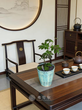 紫茄