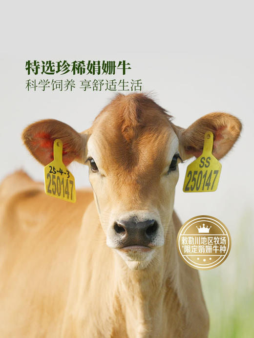 【自提】M 柏菲兰 4.0娟姗有机纯牛奶200mL*24 商品图3