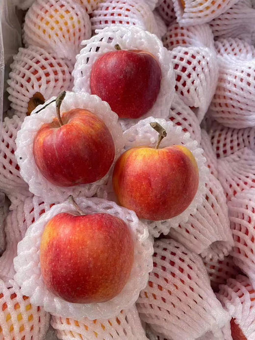 新疆爱妃小苹果 散称 商品图4