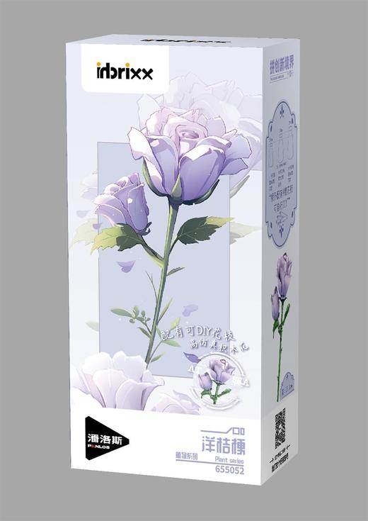 655积木花/洋桔梗 商品图0