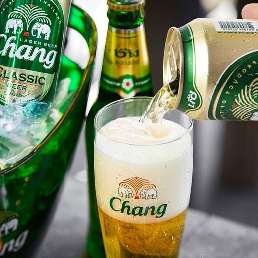 泰象啤酒500ml/190036   商品图2