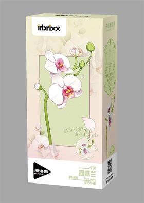 655积木花/蝴蝶兰