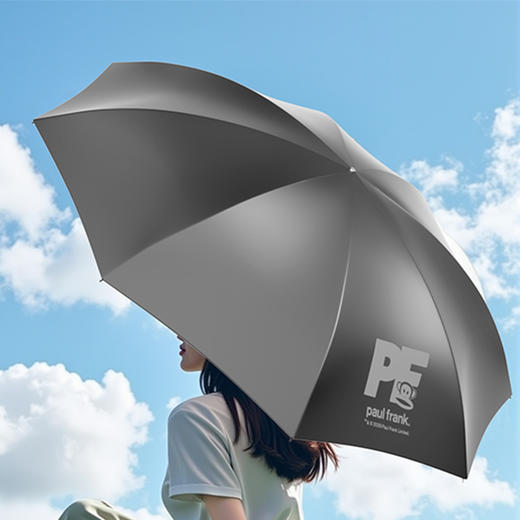 大嘴猴（Paul Frank）八骨三折雨伞PFU202 商品图1