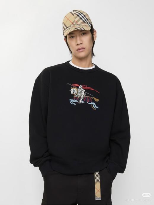 现货 BUR彩马刺绣卫衣..就几件.. 毛圈的，正好现在穿. 商品图2