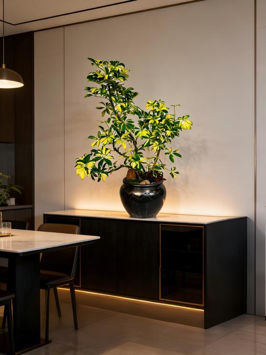 造型吸财木 商品图1