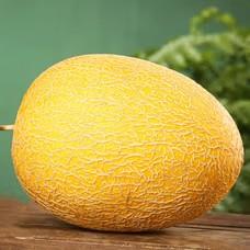 黄金蜜瓜5斤2-3个天地盖礼盒  臻选水果，产地：海南 商品图4