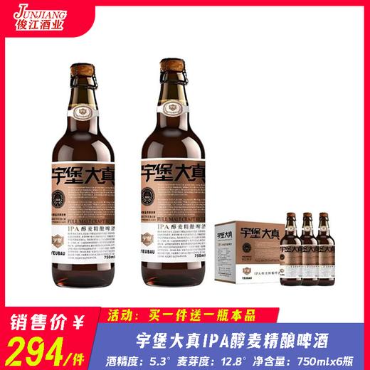 宇堡大真IPA醇麦精酿啤酒  酒精度：5.3° 麦芽度：12.8° 商品图0