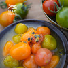 生态百香果捞小番茄 | 绿家自产 * Ecological cherry tomato | Self-production 商品缩略图3