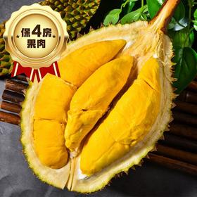 马来西亚鲜猫山王1.5-2kg