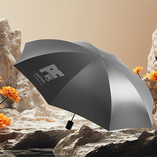 大嘴猴（Paul Frank）八骨三折雨伞PFU202 商品图3