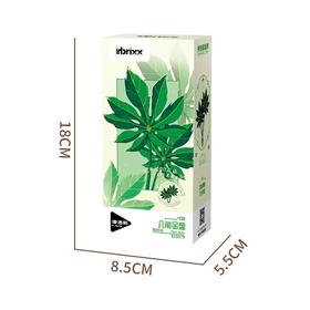 655积木花/八角金盘