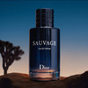 【航免仓】Dior迪奥旷野香水100ml  浓香 商品缩略图2