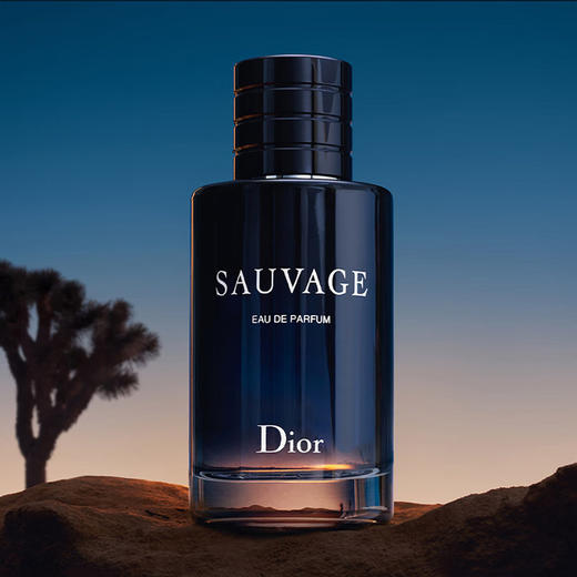 【航免仓】Dior迪奥旷野香水100ml  浓香 商品图2