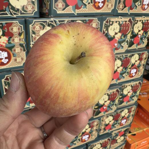 新疆樱桃苹果ppp 商品图3