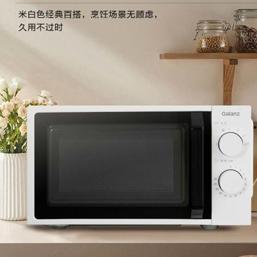 格兰仕（Galanz）经典复古微波炉-T70TGDFXB6 20L容量 商品图1