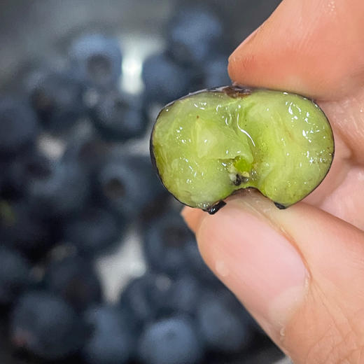 L25蓝莓22+（桶装）1.2kg 商品图2