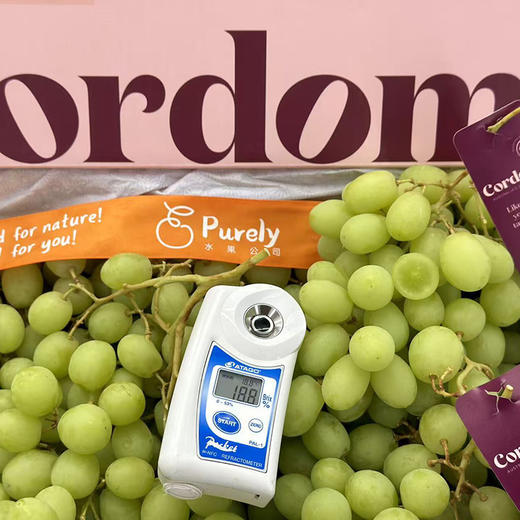 🇦🇺澳洲SweetGlobe「甜地球青提」1kg 商品图2