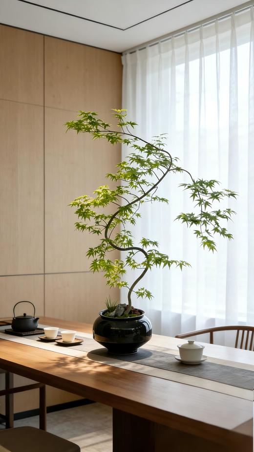 流泉枫 商品图0