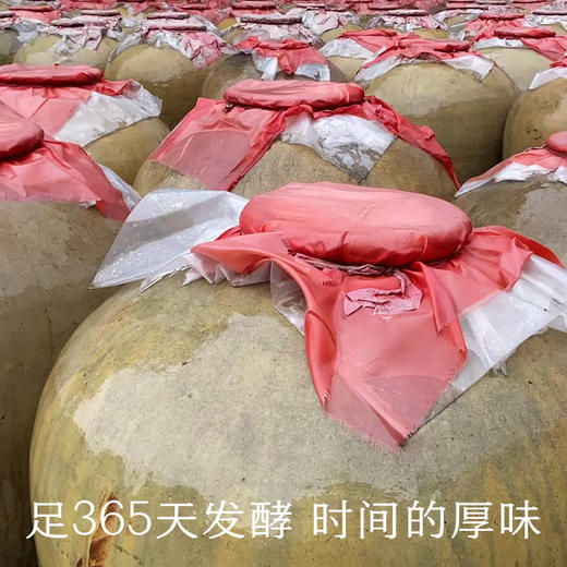 南食召 本真豆豉（老包装） 商品图2