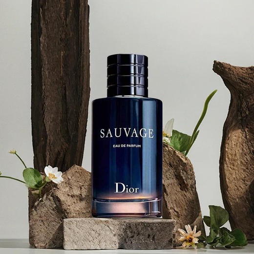 【航免仓】Dior迪奥旷野香水100ml  浓香 商品图1