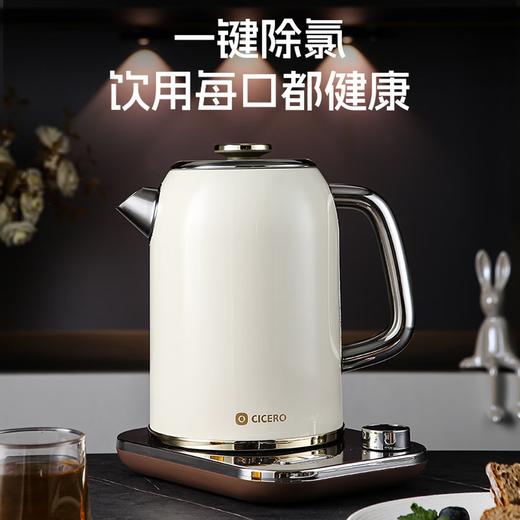CICERO斯赛洛烧水壶S02 商品图0