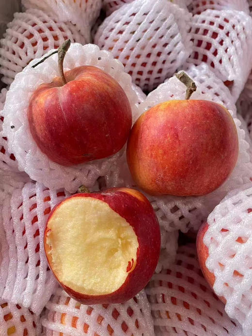 新疆爱妃小苹果 散称 商品图2