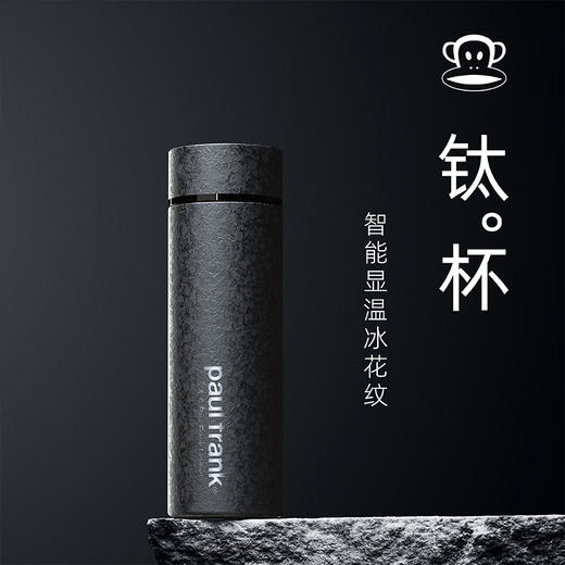 大嘴猴（Paul Frank）健康纯钛抑菌显温保温杯PF903（冰花纹） 商品图1