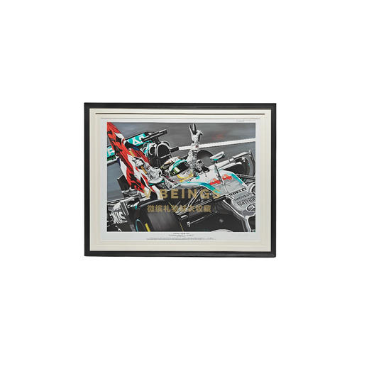 收藏系列 汉密尔顿 F1 年轻的狮心 限量版 亲笔签名画 商品图0