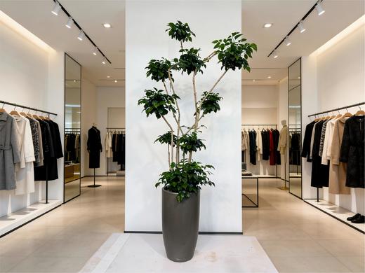 多层绿宝 商品图1