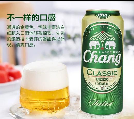 泰象啤酒500ml/190036   商品图1